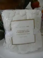 NIP POTTERY BARN TEEN IVORY WHITE MARSHMALLOW STANDARD QUILTED SHAM