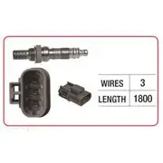 RAE Oxygen Sensor - OX248