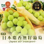 切果季-日本空運麝香無籽葡萄1房禮盒ｘ1盒(每串450-500G)