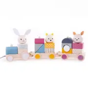 Bigjigs Toys 100% FSC® Certified Activity Pull Along Train