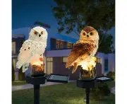 Solar Light Outdoor Garden Decoration 2 Pieces of Animal Resin Owl Solar LED Light Outdoor Garden Decoration $ LED Outdoor Solar Light LED Solar Water