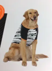 Halloween Costume For Dogs Glow In The Dark Size M 20 - 40 LBs 20” - 26”