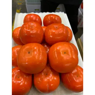 梨山 富有 次郎甜柿