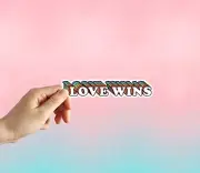 Love Wins Sticker, Laptop Sticker, Water Bottle Sticker Phone Sticker