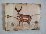 Pronghorn Antelope Handmade Wood Burning Art, Pyrography, Prairie Ghost, Wild