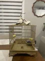 Chao Mao Gold Bird Cage