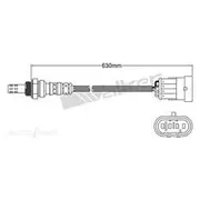 PAT Oxygen Sensor Pre-Catalytic Converter/Manifold - EGO-699