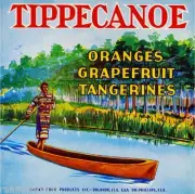 Orlando Florida Tippecanoe Orange Citrus Fruit Crate Label Print