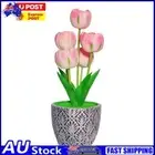 Dimmable LED Tulip Lights Touch Control Home Flower LED Lamp USB Rechargeable