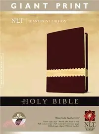 在飛比找三民網路書店優惠-Holy Bible ― New Living Transl