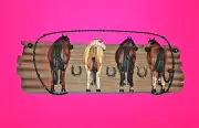 Novelty Horses Backsides Coat Hat Rack Car House Keys Holder Horseshoes 22”x 8"