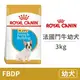 【法國皇家 Royal Canin】(即期)BHN 皇家法國鬥牛幼犬FBDP 3公斤(狗飼料)(效期2024/7/15)