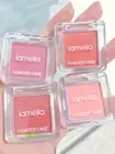 Highlight Eye Shadow Plate Powder Monochrome Powder Blusher Cosmetics Blusher