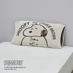 現貨！日本正版西川 SNOOPY 史努比 史奴比 枕頭套 枕套 枕巾 AG+ 抗菌 彈性布料 枕頭 毛巾布 PN4607