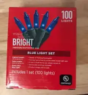 Blue Christmas String Lights 100 Count Incandescent Indoor Outdoor Holiday Set