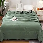 Nuvodreams Cooling Blanket Queen, Nuvodreams Silk Cooling Blanket, Lightweight Breathable Summer Comforter Queen Size (Green,180 * 220cm/70 * 86.6in)