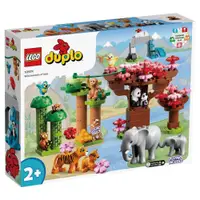 在飛比找蝦皮購物優惠-🌟台中＊宏富玩具＊樂高積木 LEGO DUPLO Town 