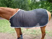 Navy Blue Striped mesh 72" FLY SCRIM COOLER SHEET Show fly cooling protection