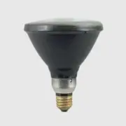 Replacement for BLE-100/SM | 100W PAR38 | SpectronicsBLE-100/SM | 100W PAR38 |