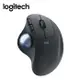 【Logitech 羅技】Ergo M575 無線軌跡球滑鼠 黑色