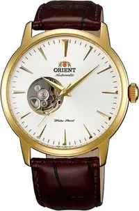 在飛比找Yahoo!奇摩拍賣優惠-日本正版 Orient 東方 WV0511DB 機械錶 手錶
