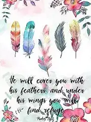 5D DIY Diamond Painting Love Quotes, Diamond Art Painting Feather by Number