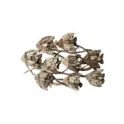 Darlin Driftwood 52x37cm School of Angel Fish Wall Art Hanging Home Decor Brown