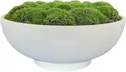 Macomine Design Moss Bowl | 10" Diameter | Artificial | Lightweight Ceramic Bowl | Home Décor