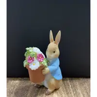 在飛比找蝦皮購物優惠-彼得兔公仔 Peter rabbit 比得兔