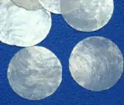 Quality Capiz Seashells 1 inch, Capiz Shell Crafts Supplies