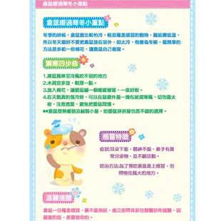 【ALICE艾妮斯】彩夢暖眠棉30g 小動物保暖 天然原料 毛貓寵