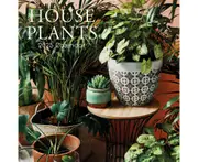 2025 Calendar House Plants 16-Month Square Wall Gifted Stationery GSC25072