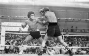 Salvador Sanchez Throws A Punch V Danny Lopez Old Boxing Photo