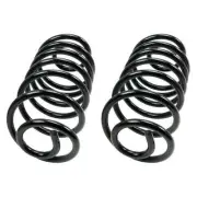 Problem Solver Rear Coil Springs Fits 1967 Pontiac LeMans