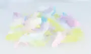 Feathers Coloured - 10 Gr - Rainbow