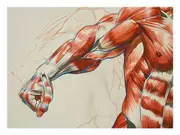 Strong Canvas Print