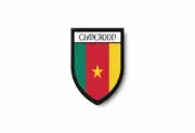 PATCH PATCHES EMBLEM IRON ON GLUE PRINT FLAG world crest camerun