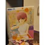 SEGA 正版 五等分花嫁 中野一花