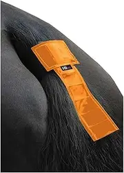 HyVIZ Tail Band (UK Size: One Size) (Orange)