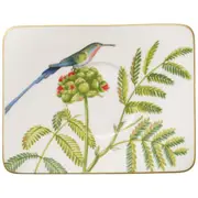 Amazonia Saucer Coffee Cup (Multi-Coloured) - 17x14cm