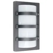 Tori Graphite Rectangular Outdoor Wall Light