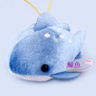 【現貨】日本Amuse 海洋水族館動物 毛絨玩偶 海豹 鯨魚 烏龜  海豚 早教玩具 教材 包包吊飾 聖誕禮物