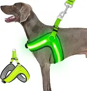 LED Dog Harness for Large Dogs, USB Rechargeable Light Up Dog Harness Adjustable with 3 Glow Modes - Flashing Glow in the Dark Lights for Night Walking/Camping - Green (Green Glow)