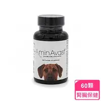 在飛比找momo購物網優惠-【美國 AminAvast】胺腎 1000mg 60顆 中大