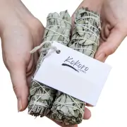 Organic Sage Smudge Sticks 2 pack | Smudging | Rituals | Clearing