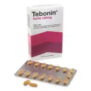 1 X Tebonin Forte 120mg 30'S Ginkgo Biloba Extract For Vertigo, Tinnitus & Focus