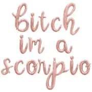 BITCH IM A SCORPIO Cursive Letter Balloon Banner - Zodiac Birthday Party Decor