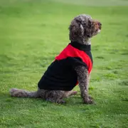 AFL Essendon Bombers Pet Jumper - Medium