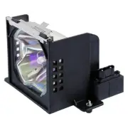 610 306 5977 Lamp for EIKI LC-X50