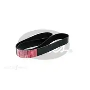 Gates Micro-V Belt - 10PK1255